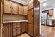 2048 W 21st Unit 2, Chicago, IL 60608