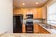 1960 N Damen Unit 3, Chicago, IL 60647