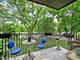 1121 W Ogden Unit 253, Naperville, IL 60563
