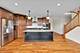 12415 Kilkenny, Plainfield, IL 60585