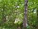 32675 N Forest, Grayslake, IL 60030