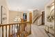 10851 White Deer, Orland Park, IL 60467
