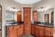 13002 Silverleaf, Plainfield, IL 60585