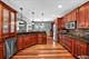 13002 Silverleaf, Plainfield, IL 60585