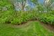 655 Oakview, Algonquin, IL 60102