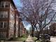 1260 W Columbia Unit 2, Chicago, IL 60626