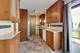740 Lakeview, Schaumburg, IL 60194