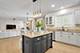 643 W Crockett, Elmhurst, IL 60126