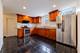 4830 S Ridgeway, Chicago, IL 60632