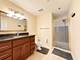 1520 Chippewa, Naperville, IL 60563