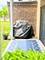666 Pinecrest Unit 102, Prospect Heights, IL 60070