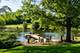 10S370 Madison, Burr Ridge, IL 60527