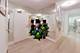 1000 N Lake Shore Unit 2205, Chicago, IL 60611
