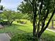 3427 Vollmer Unit 109, Flossmoor, IL 60422