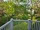 953 Brunswick Unit 0, Schaumburg, IL 60193
