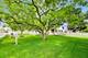 1646 N 18th, Melrose Park, IL 60160