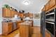 1116 Loganbury, Elgin, IL 60120