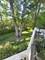 772 Red Oak, Bartlett, IL 60103