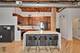 1000 W Washington Unit 240, Chicago, IL 60607