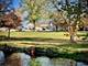 62 Dundee, Barrington, IL 60010