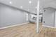 1539 S Christiana, Chicago, IL 60623