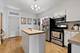 2735 N Ridgeway, Chicago, IL 60647
