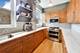 1050 W Foster Unit F, Chicago, IL 60640