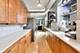 1050 W Foster Unit F, Chicago, IL 60640