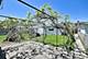 2732 N 72nd, Elmwood Park, IL 60707