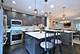 1192 S Clarence Unit 3, Oak Park, IL 60304