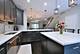 1192 S Clarence Unit 3, Oak Park, IL 60304