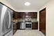 1914 Flintshire Unit 1914, Schaumburg, IL 60194