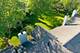 104 Thistle, Schaumburg, IL 60194