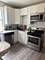 4545 S Hermitage, Chicago, IL 60609