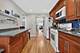 6602 W Montrose, Harwood Heights, IL 60706