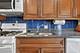 6602 W Montrose, Harwood Heights, IL 60706