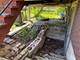 1028 Thomas, Forest Park, IL 60130