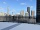 300 N State Unit 5225, Chicago, IL 60654