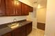 1040 W Hollywood Unit 322, Chicago, IL 60660