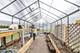 7535 Kenton, Skokie, IL 60076