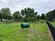 313 Peachtree, Bolingbrook, IL 60440