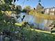 1066 Foxworth, Lombard, IL 60148