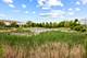 2614 Loren Unit 2614, Algonquin, IL 60102