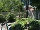 8856 Knox, Skokie, IL 60076