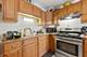 10066 S Van Vlissingen, Chicago, IL 60617