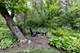 5419 Grand, Downers Grove, IL 60515
