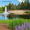 408 Siesta, New Lenox, IL 60451