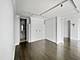 900 N Lake Shore Unit 1005, Chicago, IL 60611