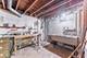 3835 W Jarlath, Lincolnwood, IL 60712