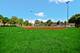 3850 W Diversey, Chicago, IL 60647